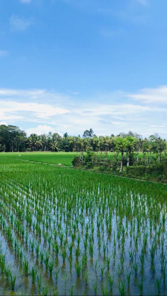 Salah Satu Tempat Pencaharian Masyarakat Meunasah Kumbang